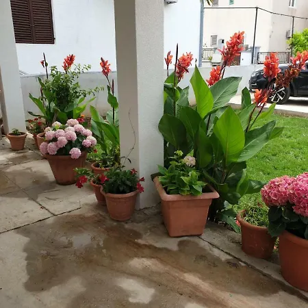 Apartman Centar Josip *